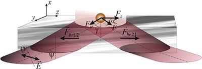 Extraordinary Manifestation of Evanescent Wave in Biomedical Application